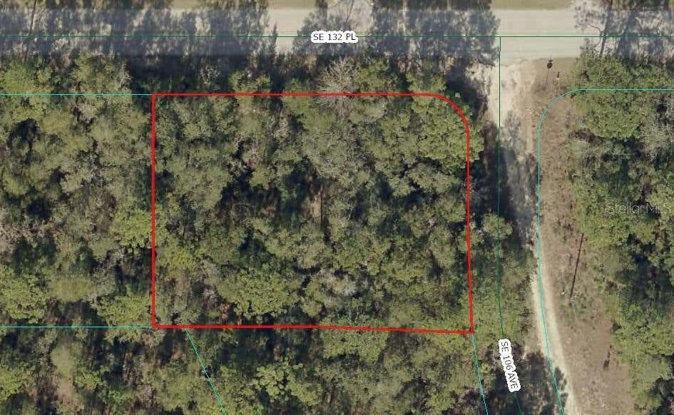 Photo of 00 SE 132nd Place, Ocklawaha, FL 32179 (MLS # OM731015)