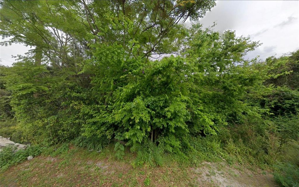 Photo of 221 Agua Vista Street, Debary, FL 32713 (MLS # TB8458041)