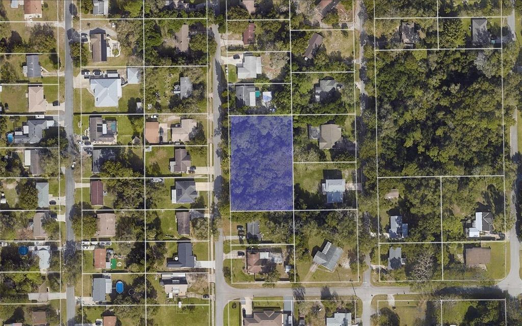 Photo of 221 Agua Vista Street, Debary, FL 32713 (MLS # TB8458041)