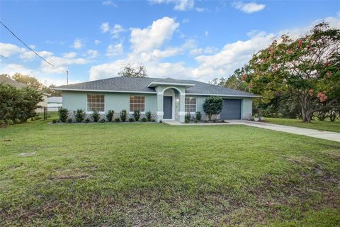 A home in PALM COAST