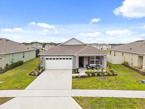 A home in MOUNT DORA