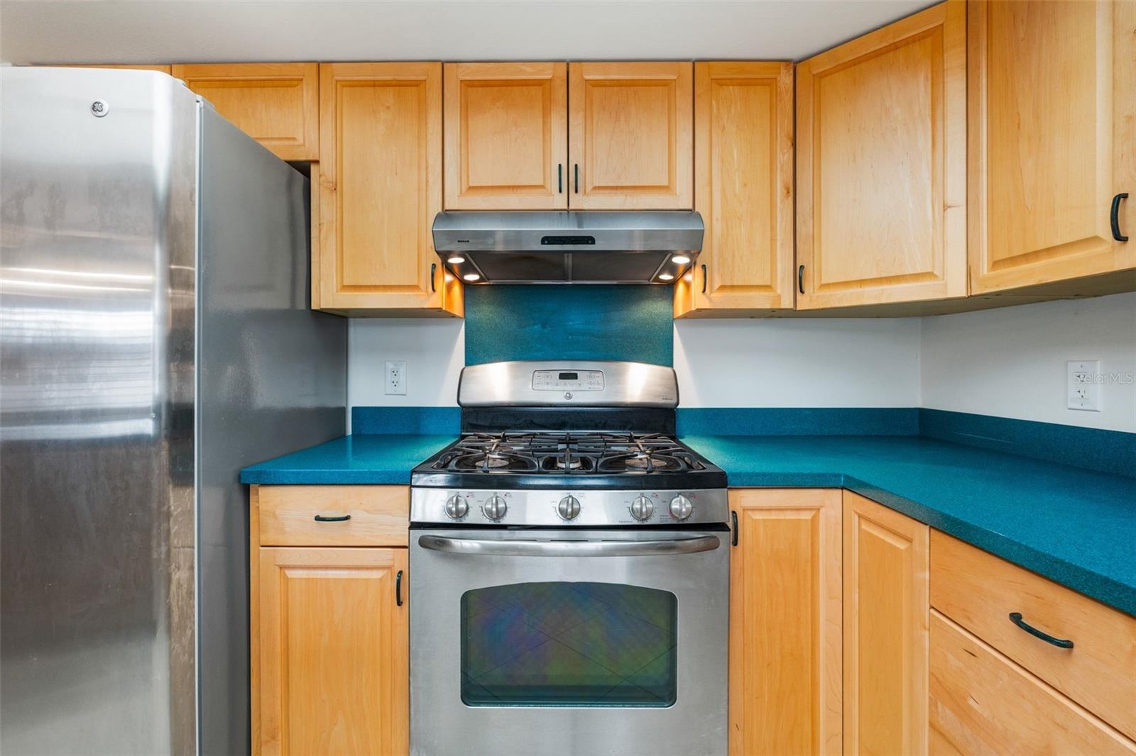 PALM-AIRE AT SARASOTA - Residential