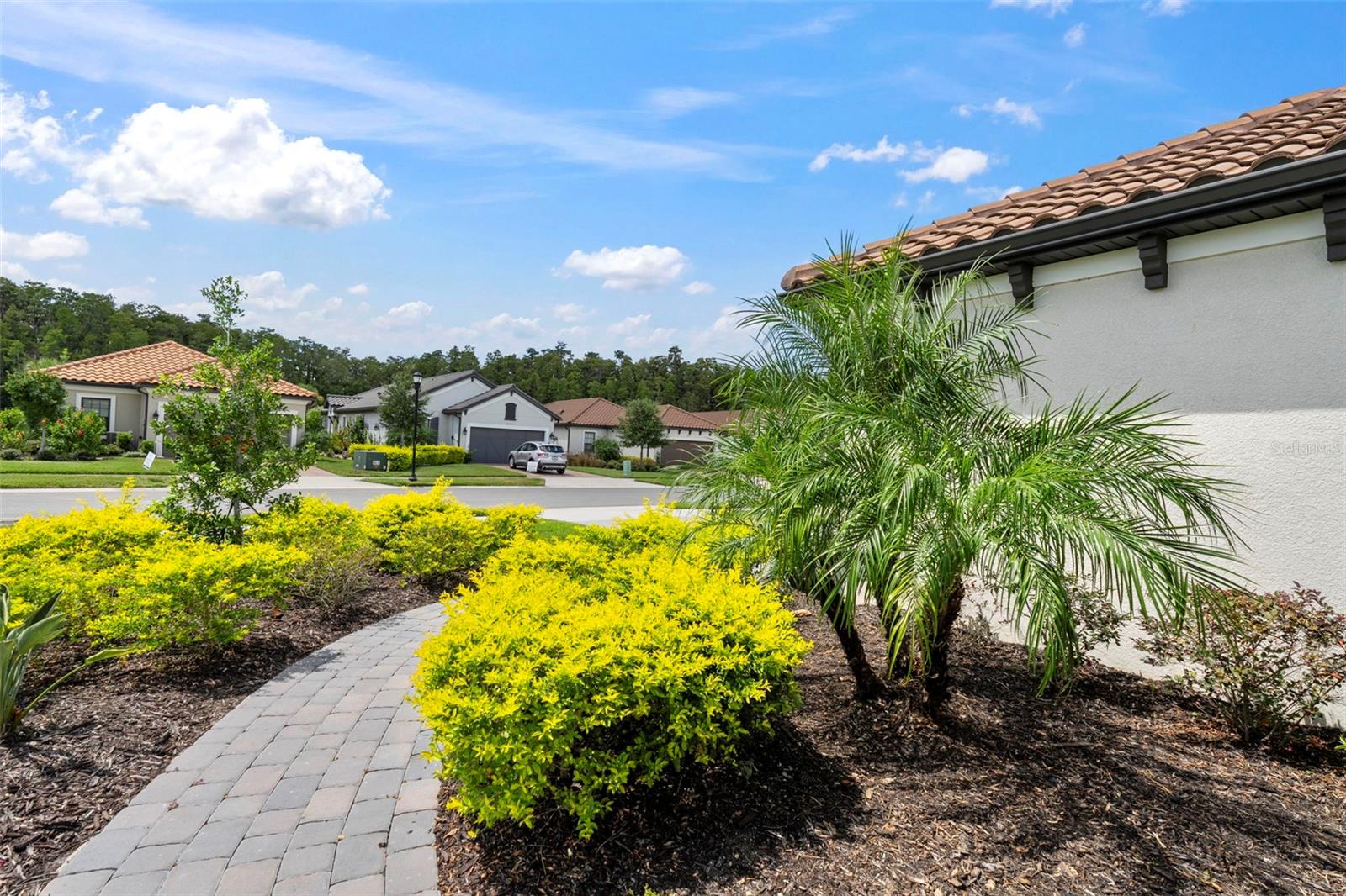 ESPLANADE AT WIREGRASS RANCH - Residential