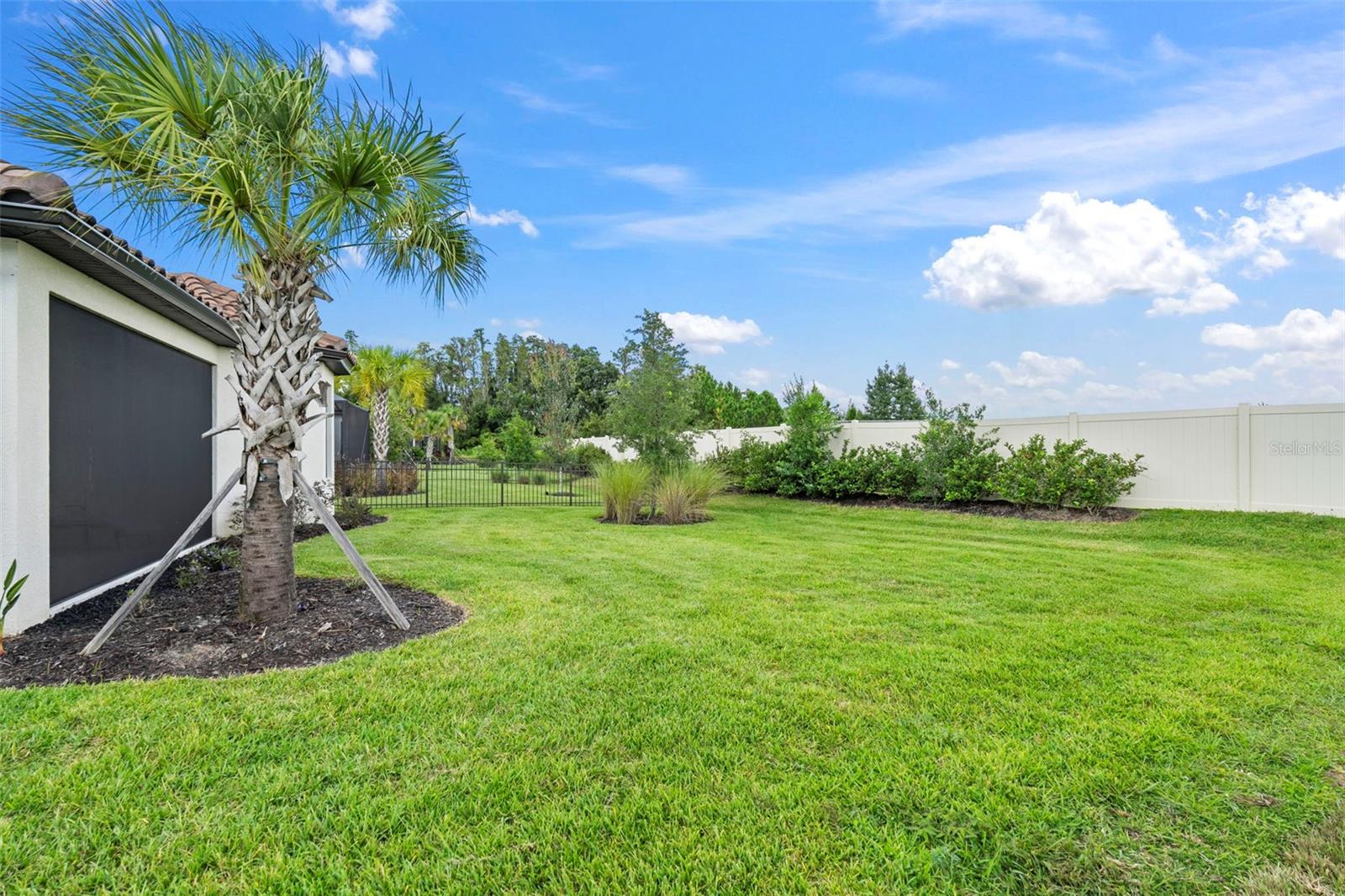 ESPLANADE AT WIREGRASS RANCH - Residential