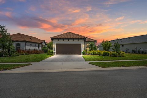 Photo of 4308 Cairoli Court, Wesley Chapel, FL 33543 (MLS # TB8434048)