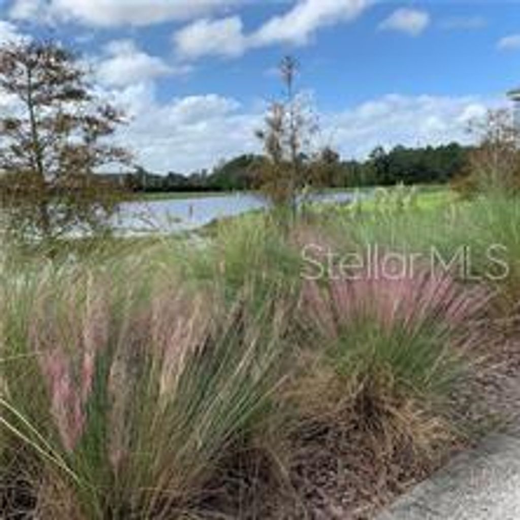 Photo of 14279 Swanley Street, Orlando, FL 32832 (MLS # S5141846)