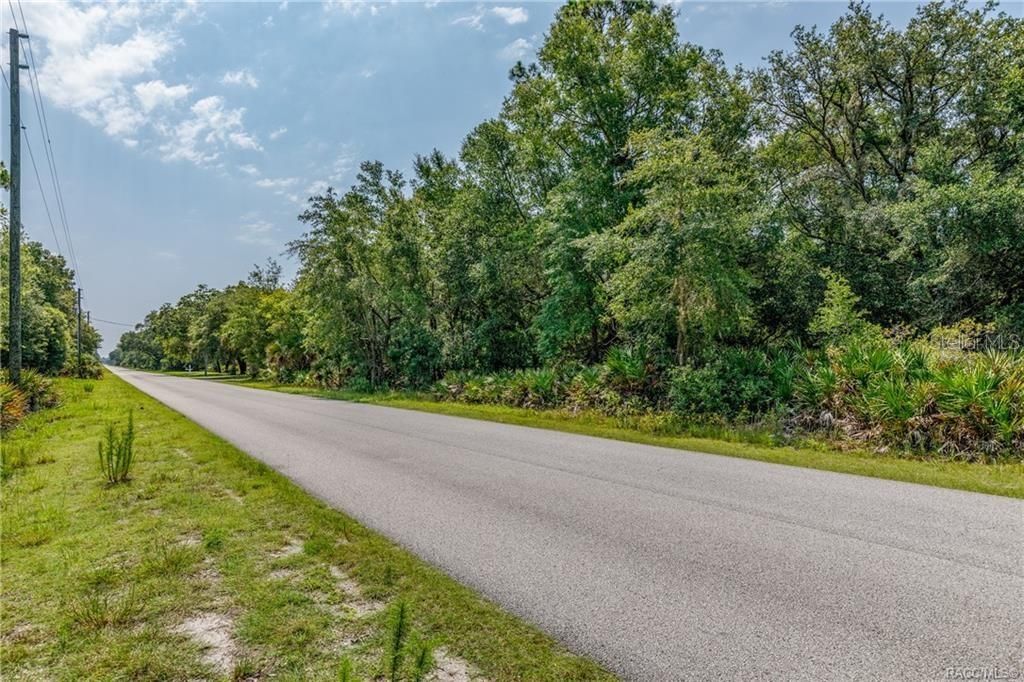 Photo of 12766 W Cornflower Drive, Crystal River, FL 34428 (MLS # TB8457971)