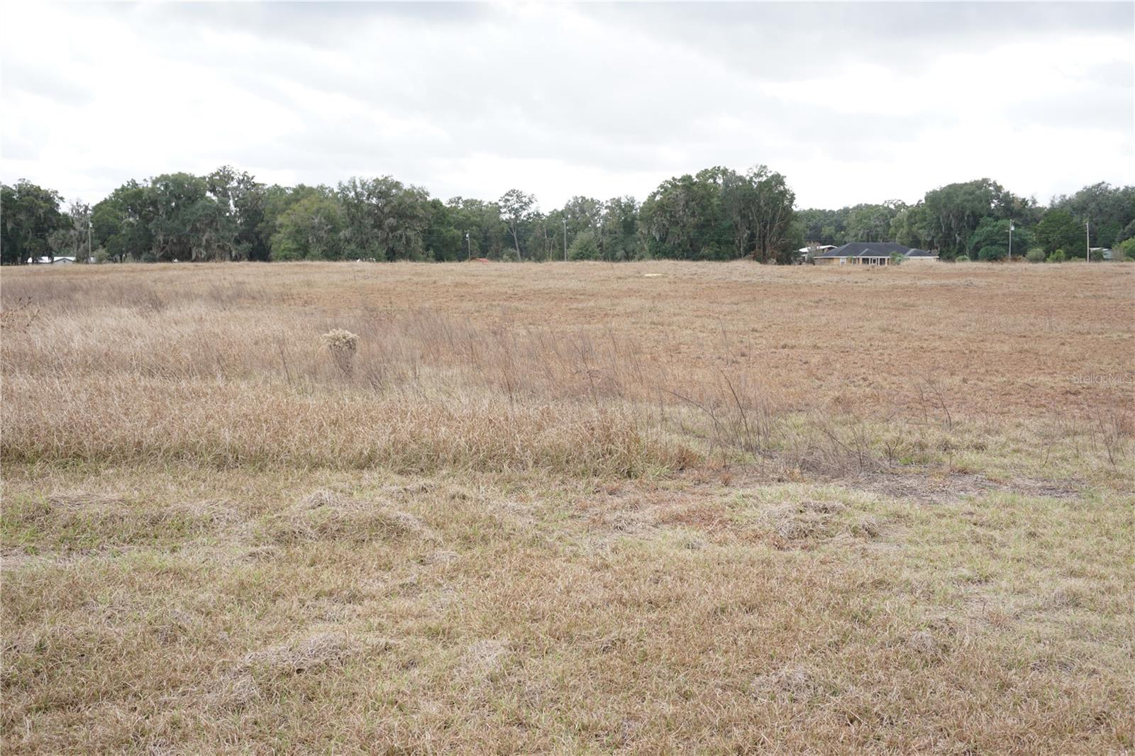 JAX ROAD RANCHES II - Land