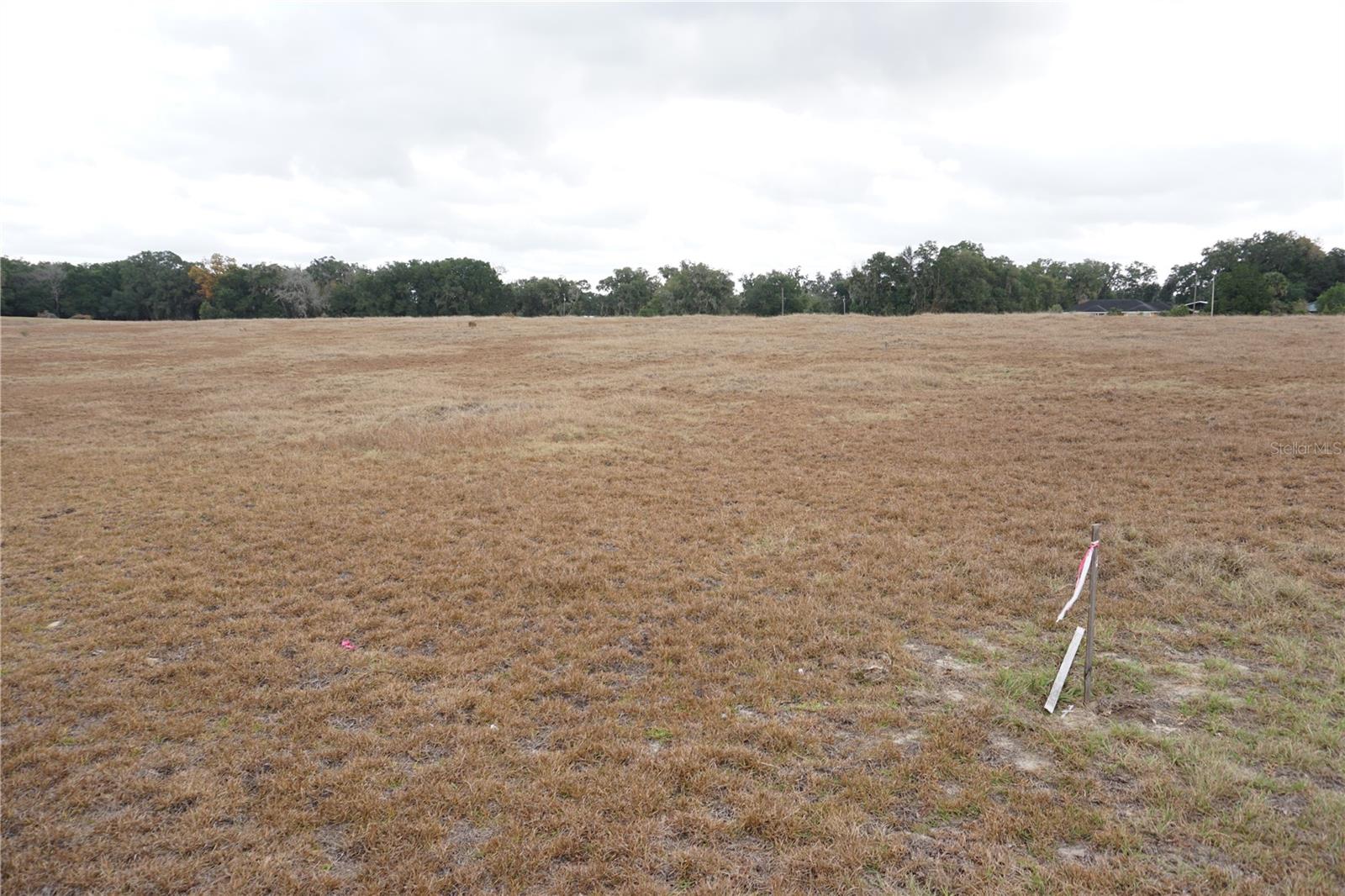 JAX ROAD RANCHES II - Land