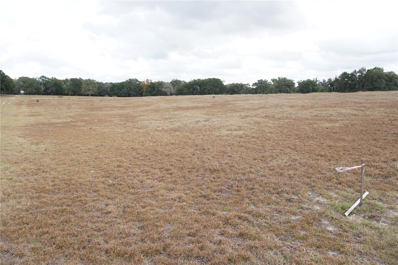 JAX ROAD RANCHES II - Land