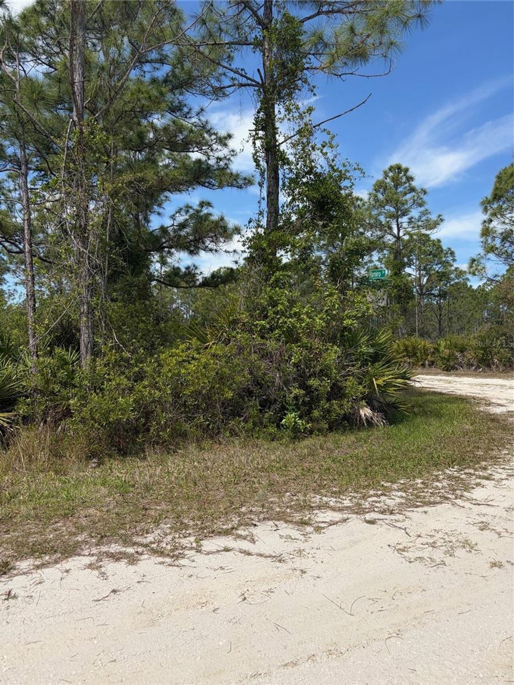 Photo of 28131 Ramiro Drive, Punta Gorda, FL 33955 (MLS # C7524872)