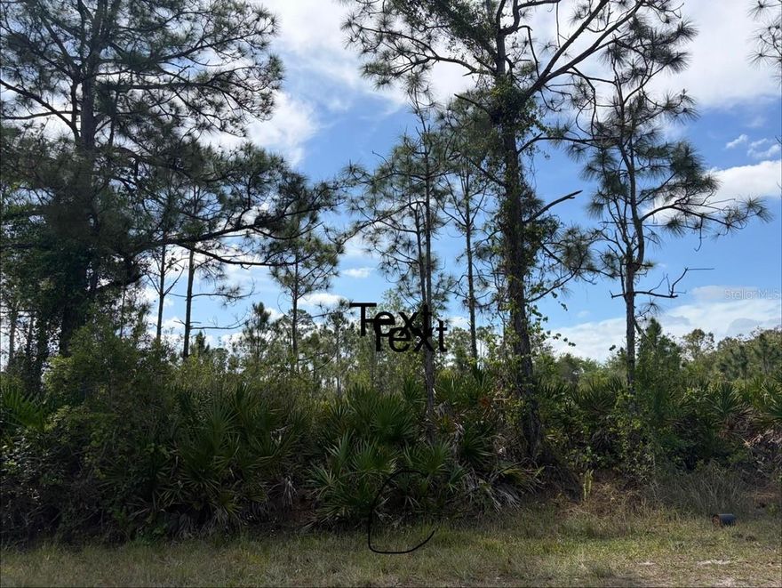 Welcome home to Tropical Gulf Acres! This 7,200 Square foot lot measures 60x120 and is partially wooded. The lot is just two miles from interstate 75, 5 miles from shopping and just 8 miles from Historic Downtown Punta Gorda. If privacy and NO deed restrictions is what you're looking for, then this lot is for you!