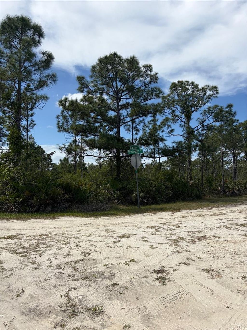 Photo of 28131 Ramiro Drive, Punta Gorda, FL 33955 (MLS # C7524872)