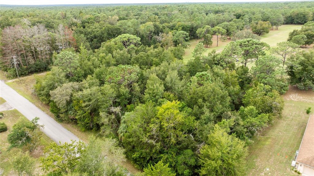 Photo of 00 SW 204 Th Court, Dunnellon, FL 34431 (MLS # OM711328)