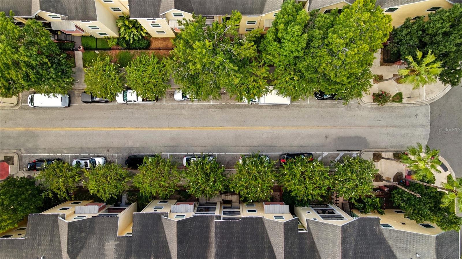 THE QUARTER AT YBOR - Residential
