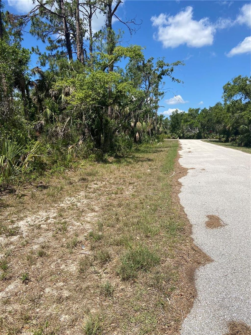 Photo of 17115 Hemlock Ave, Port Charlotte, FL 33948 (MLS # C7489548)