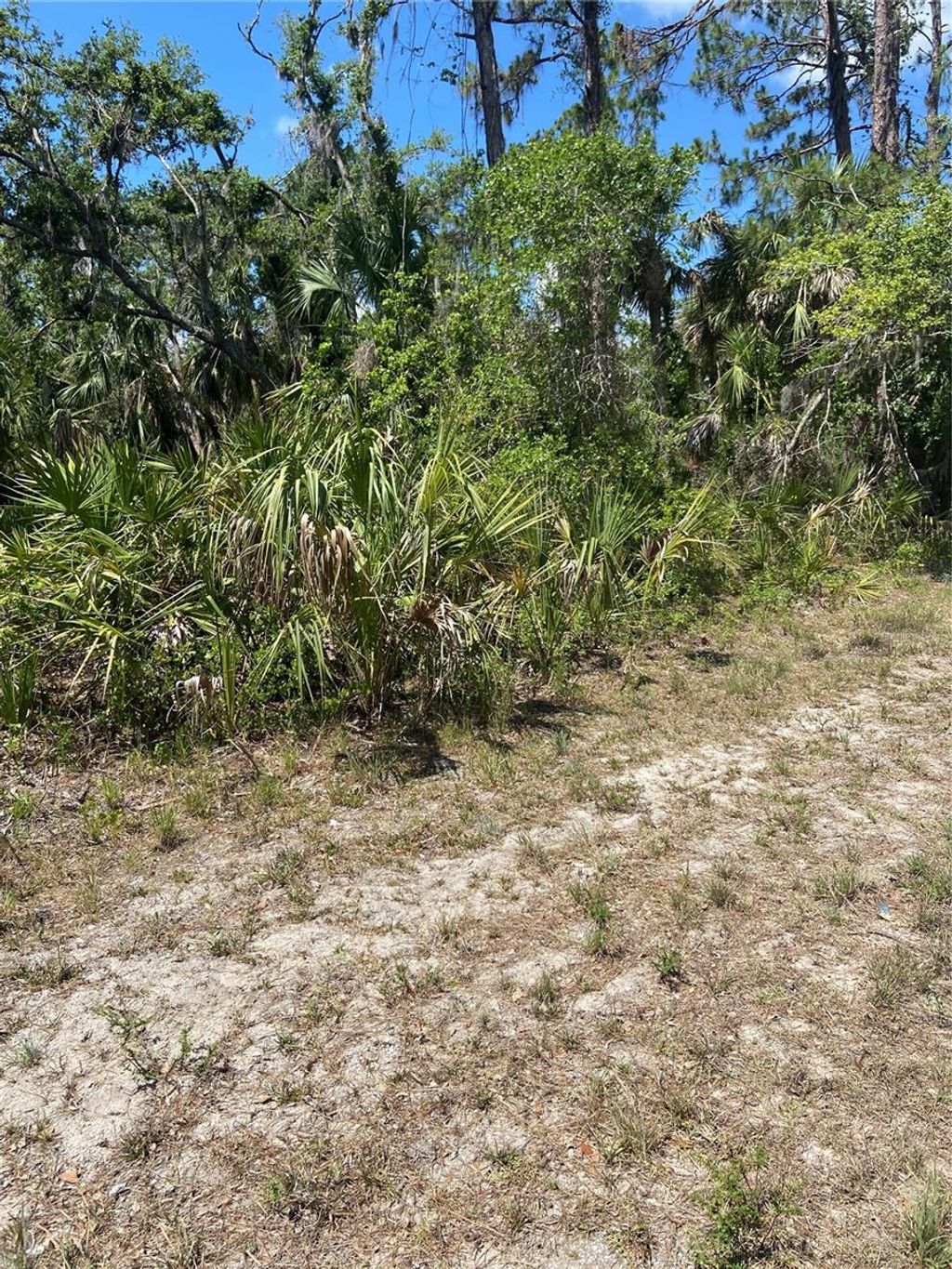 Photo of 17115 Hemlock Ave, Port Charlotte, FL 33948 (MLS # C7489548)