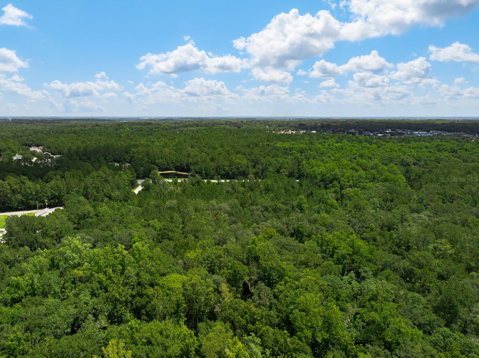 3997 COUNTY ROAD 218