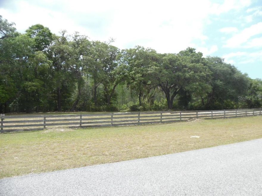 Build your dream home on one of the few lots available in the prestigious Pasco Trails community. Pasco Trails is a gated equestrian community which features several riding trails. Approximately 2.5 ac of buildable land with a total of 10.58 ac. Seasonal pond located at rear of property. Minimum square footage is 2400 sq.ft. Each house must be located a minimum of 50 feet from the front boundary line and a minimum of 25 feet on sides and rear. Great location near the Suncoast Parkway, US41 and SR75 for easy access to Tampa & Orlando.