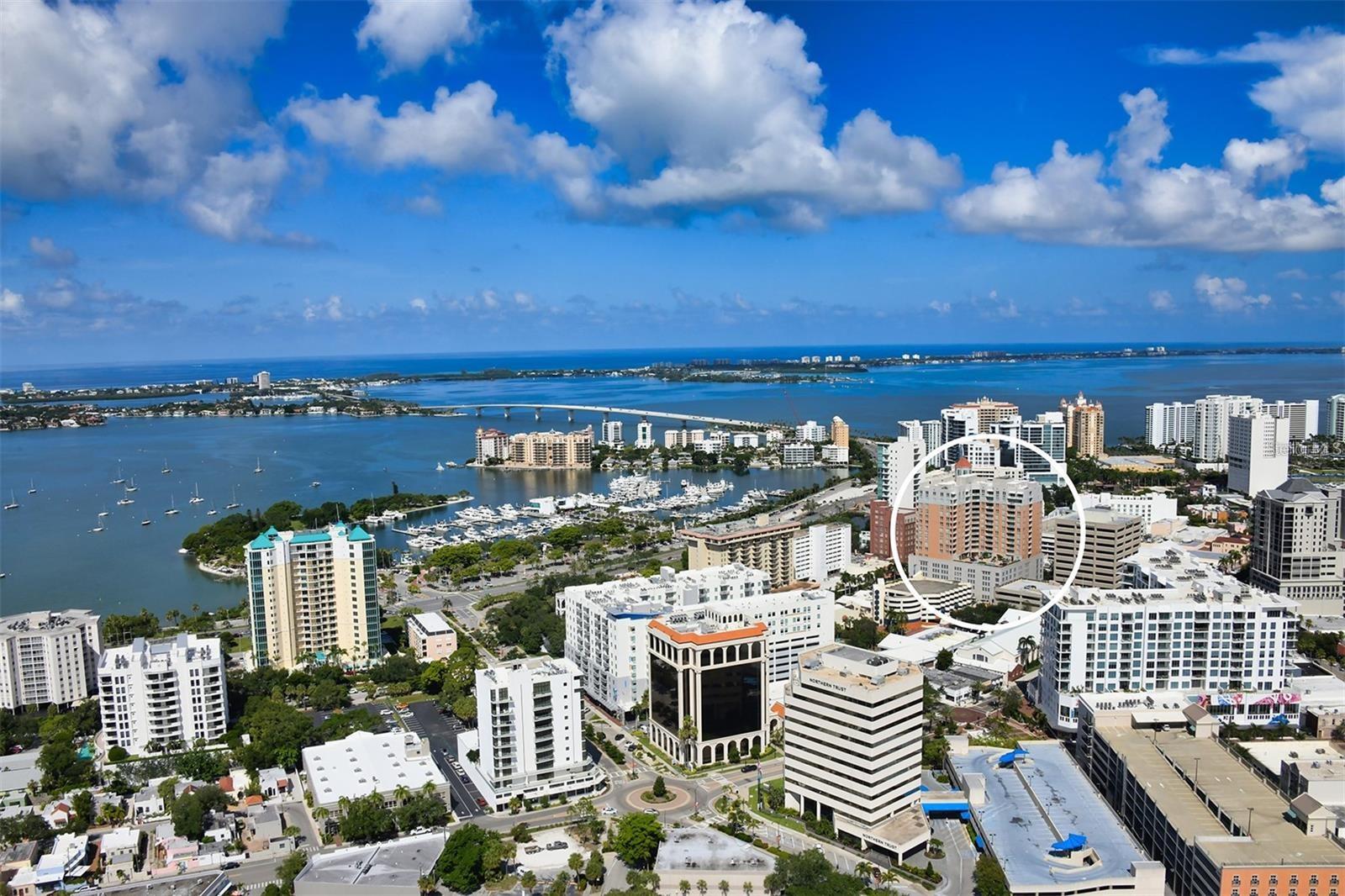 1350 MAIN STREET 709