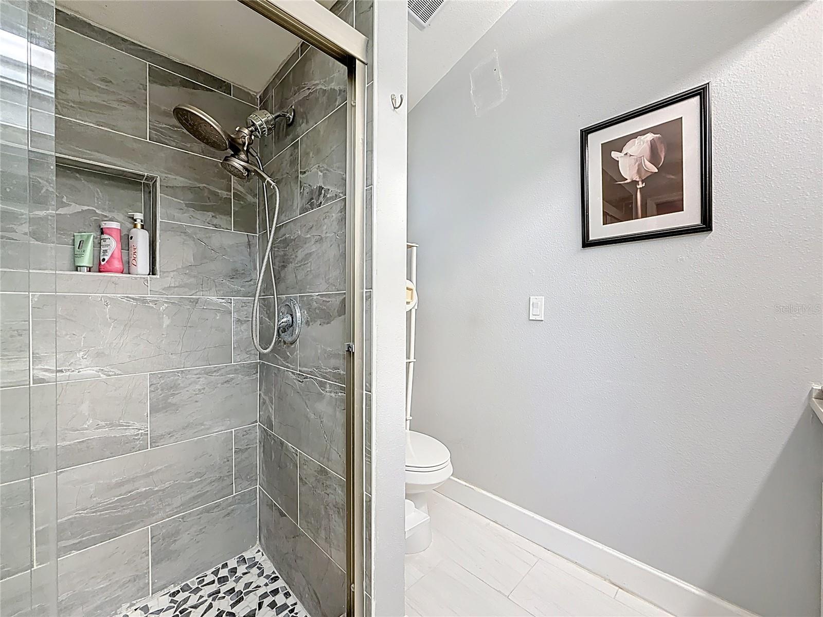 SPRING LAKE OF CLEARWATER - Residential