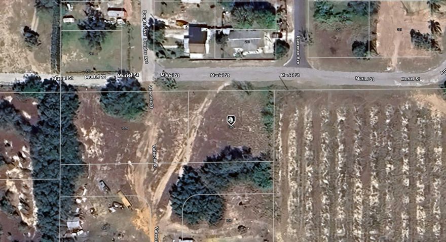 A VACANT LOT IN SEBRING IN HIGHLANDS COUNTY!!!