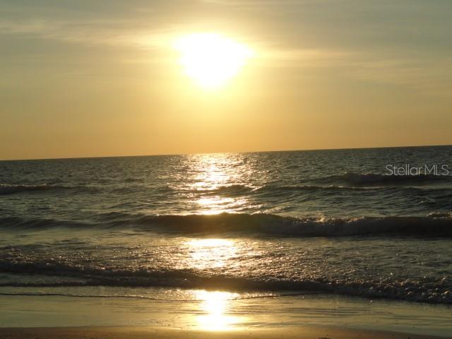 BELLEAIR FOREST - Residential