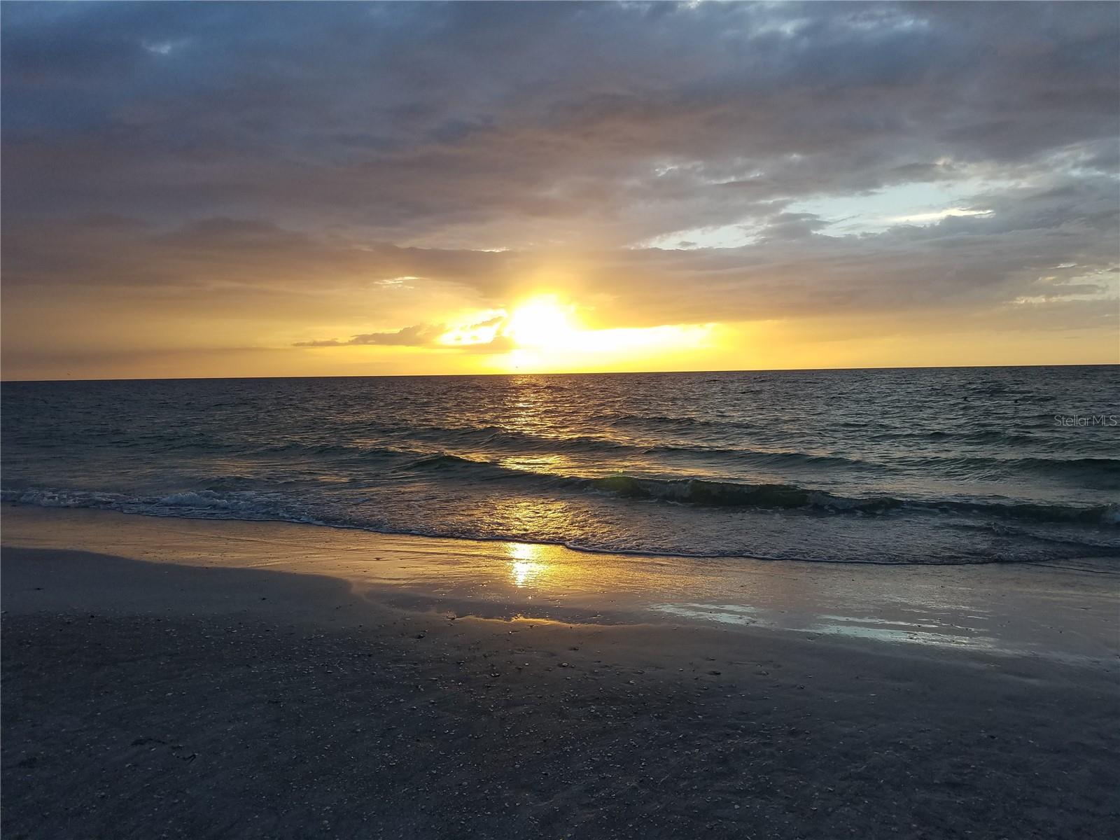 BELLEAIR FOREST - Residential