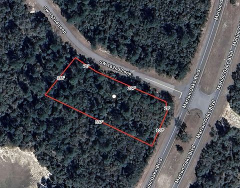 SW 162ND LOOP OCALA FL 34473