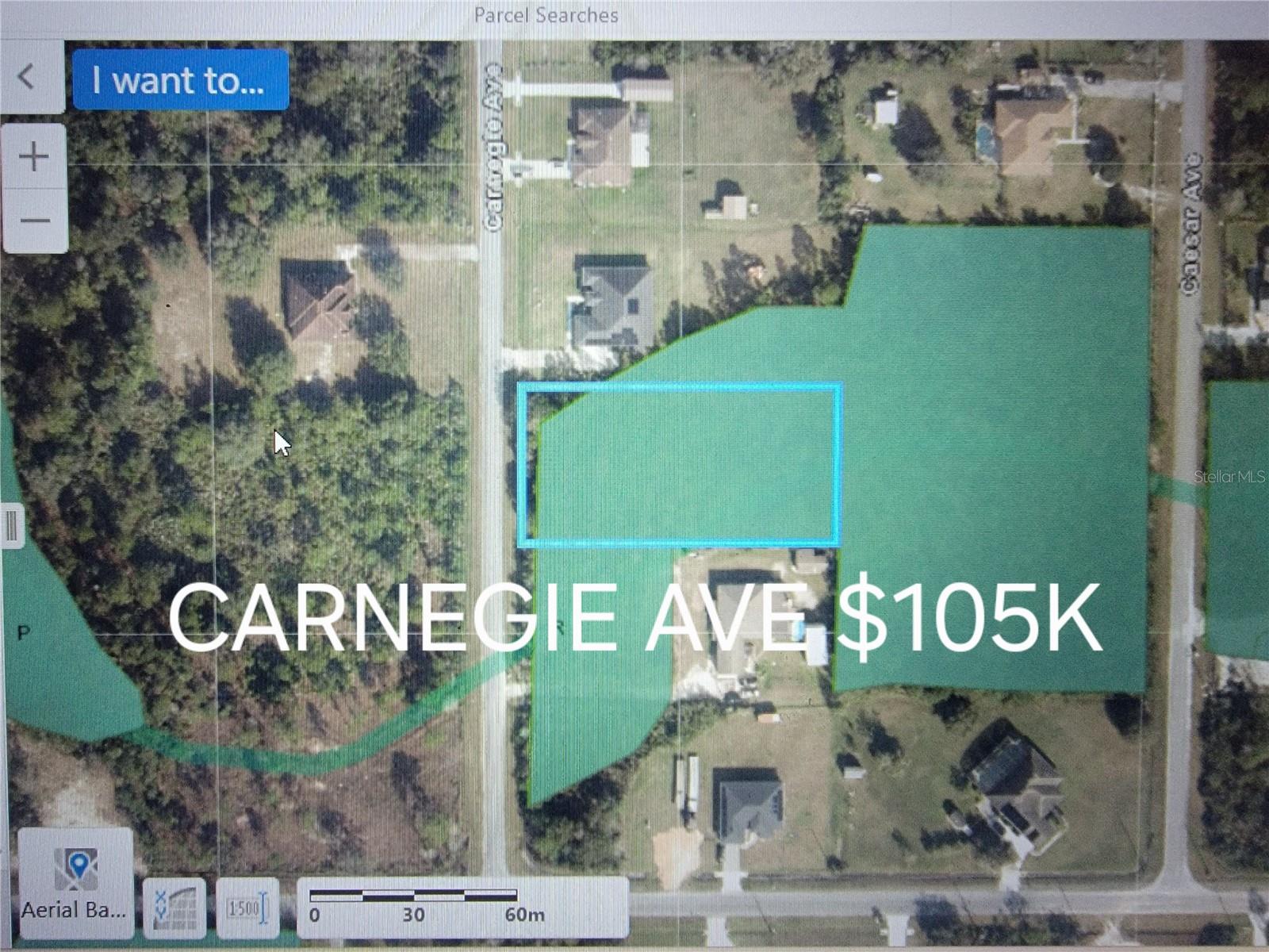 OAKLEAF STREET Orange