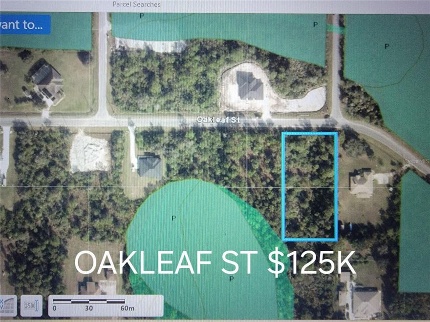PRICED TO SELL – 1+ ACRE LOT NEAR BEACH & CITY - Rare opportunity to grab a usable 1+ acre lot in a prime location just 20 minutes to the beach and 20 minutes to the city. Unlike many surrounding properties, this lot offers significantly more buildable space. Check the county GIS—nearby parcels are loaded with wetlands, There are some comparable properties put up directly from the Orange county GIS public map within half a mile of subject property. The green shade is where the county indicates wetlands which you can not simply build on. Do your own research and see for yourself, you should always have a licensed professional tell you first hand about wetlands and cost to build - Do your own due diligence. while our parcel gives you the flexibility to build a full-size home with room to spare. Open layout - Plenty of space for home, garage, toys, or additions. There is also public water and sewage here so that will save you tons of money and time. Its a strong location with growing demand, Properties like this don’t last, especially at this price point. Act fast—come walk it today before someone else locks it up.