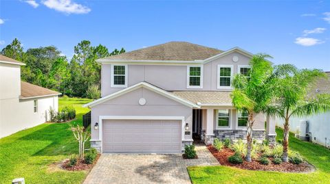 484 BRUNSWICK DRIVE DAVENPORT FL 33837