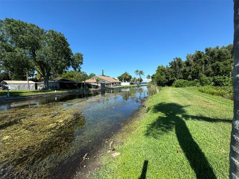 A home in PALM HARBOR