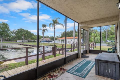 A home in PALM HARBOR