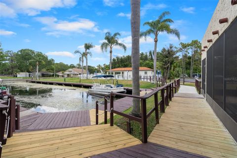 A home in PALM HARBOR