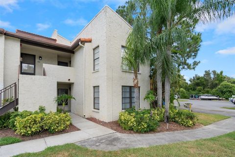 A home in PALM HARBOR