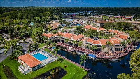 A home in PALM HARBOR