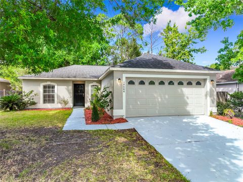 14504 LYCASTLE CIRCLE ORLANDO FL 32826