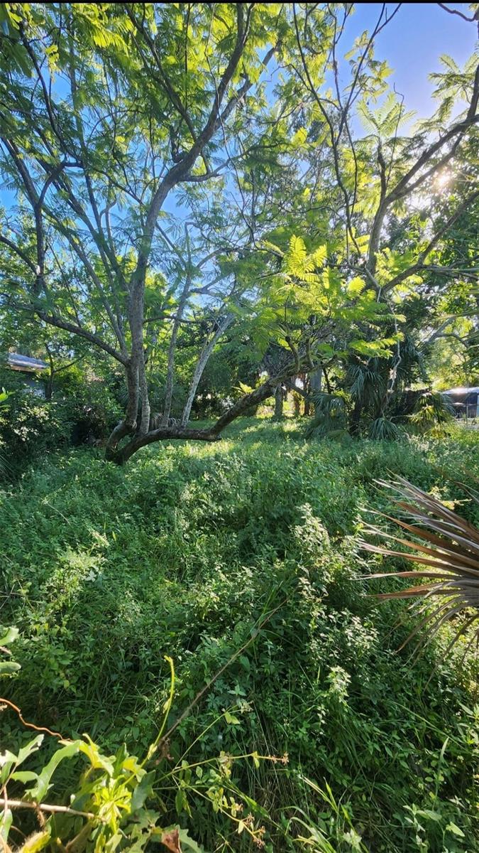 Photo of 0 Erie S S St Petersburg, St Petersburg, FL 33712 (MLS # O6442910)