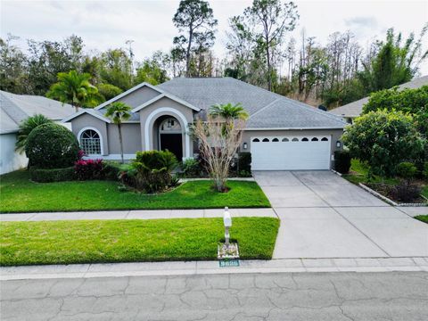 A home in TAMPA