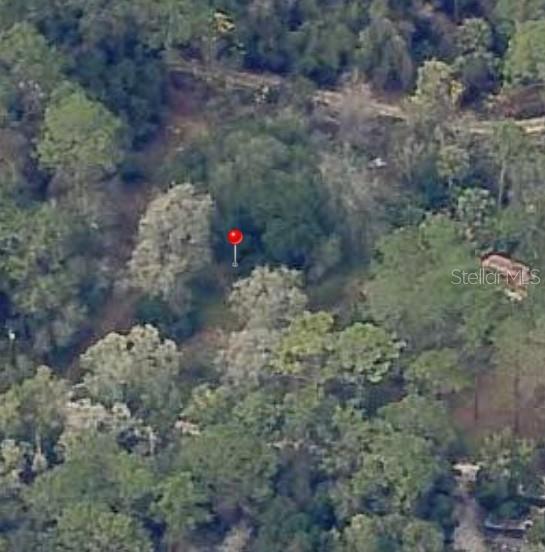 FRST LAKES PARK - Land