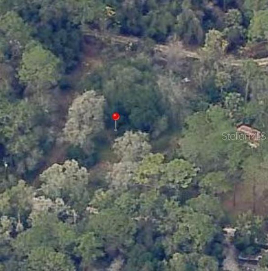 Discover the perfect canvas for your future home. This beautiful parcel of land offers the space, privacy, and flexibility to design a home that truly fits your lifestyle. Imagine selecting the ideal homesite where natural light fills your future living spaces and the surrounding landscape creates a sense of calm from the moment you arrive. This is a setting where mornings begin with coffee on your porch, evenings end under star-filled skies, and everyday life feels refreshingly unhurried. Envision building an open-concept home designed for connection and comfort where a welcoming kitchen becomes the heart of the home, perfect for cooking, entertaining, and gathering with family and friends. Picture timeless finishes, cool tile flooring throughout, and airy interiors that reflect Florida living at its best. Thoughtful design allows for private bedroom retreats, spacious living areas, and seamless indoor-outdoor flow to a future patio or lanai. With ample room to customize, this property offers endless possibilities space for a garden, workshop, recreational toys, or simply more room to breathe. Whether you’re dreaming of a peaceful homestead, a modern retreat, or a long-term investment, this lot provides the freedom to build without compromise. Enjoy the tranquility of country living while remaining conveniently located near local amenities, lakes, and outdoor recreation. It’s an opportunity to create a lifestyle, a home, and a future uniquely your own.