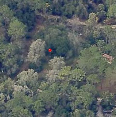 18901 SE 93RD STREET OCKLAWAHA FL 32179