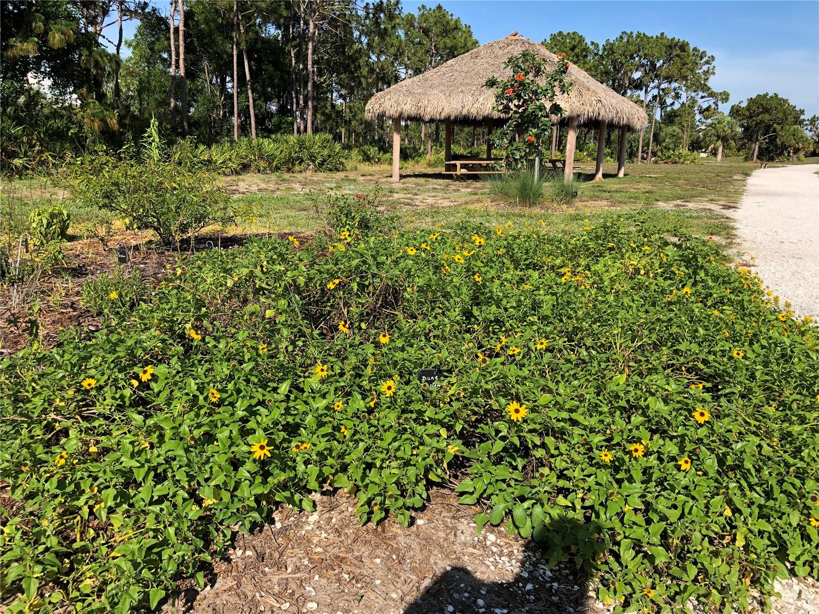 ROTONDA WEST PINE VALLEY - Land