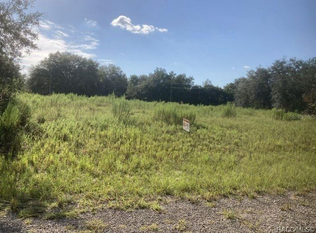 Photo of 7692 N Fisher Trrace Ter, Citrus Springs, FL 34434 (MLS # O6349689)