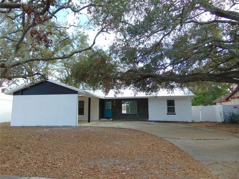 A home in TAMPA