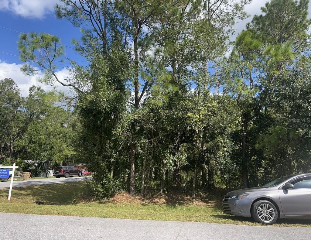 Photo of Wauchula Street, Intercession City, FL 33848 (MLS # S5147166)