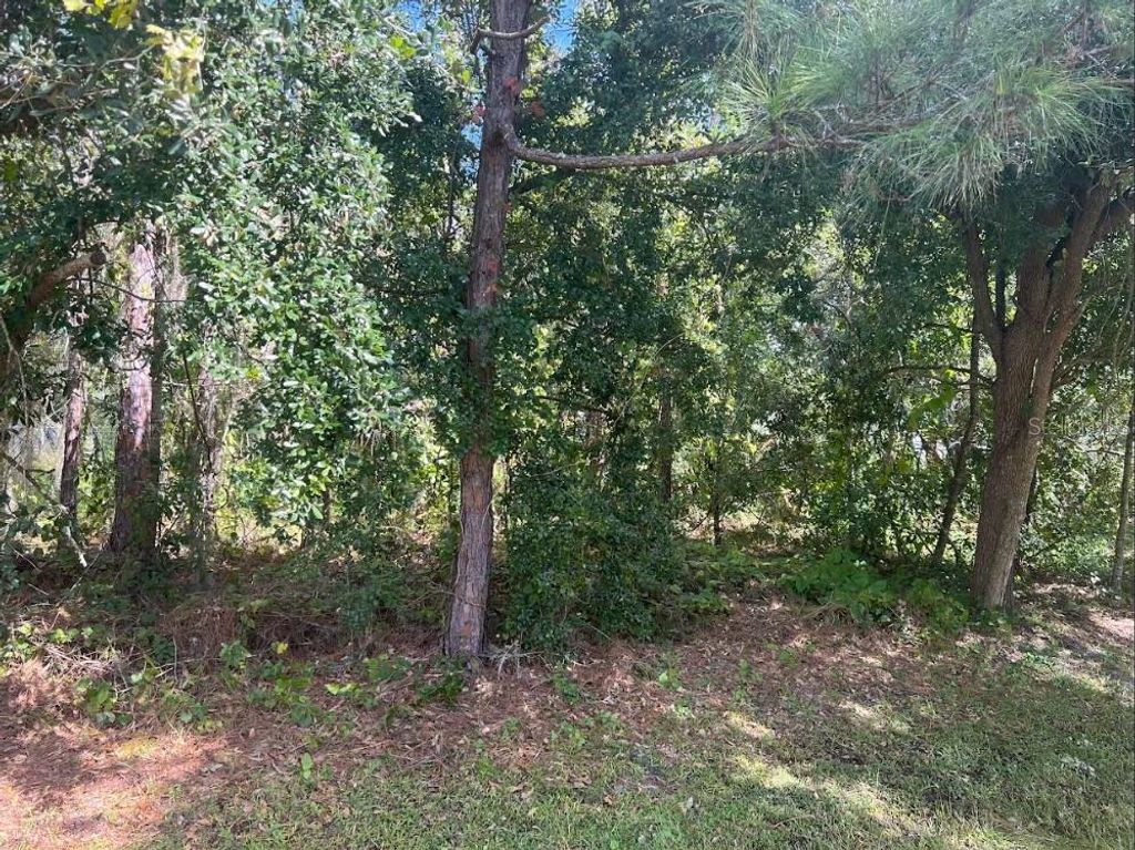 Photo of Wauchula Street, Intercession City, FL 33848 (MLS # S5147166)