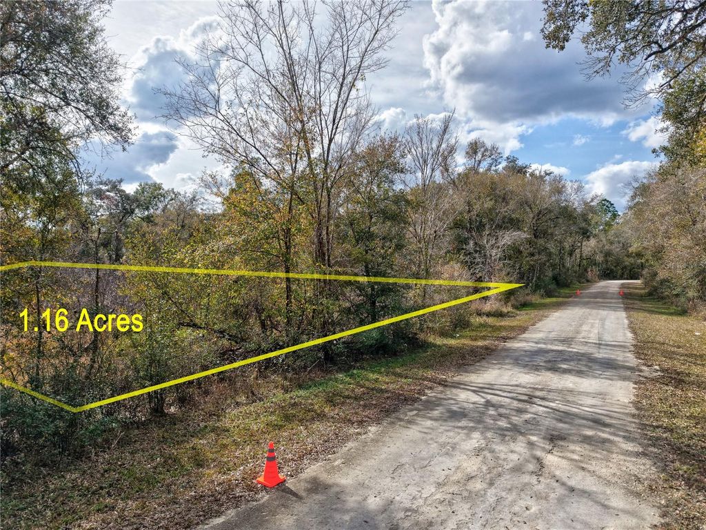 Photo of 1 Chipstone Street, Webster, FL 33597 (MLS # A4677691)