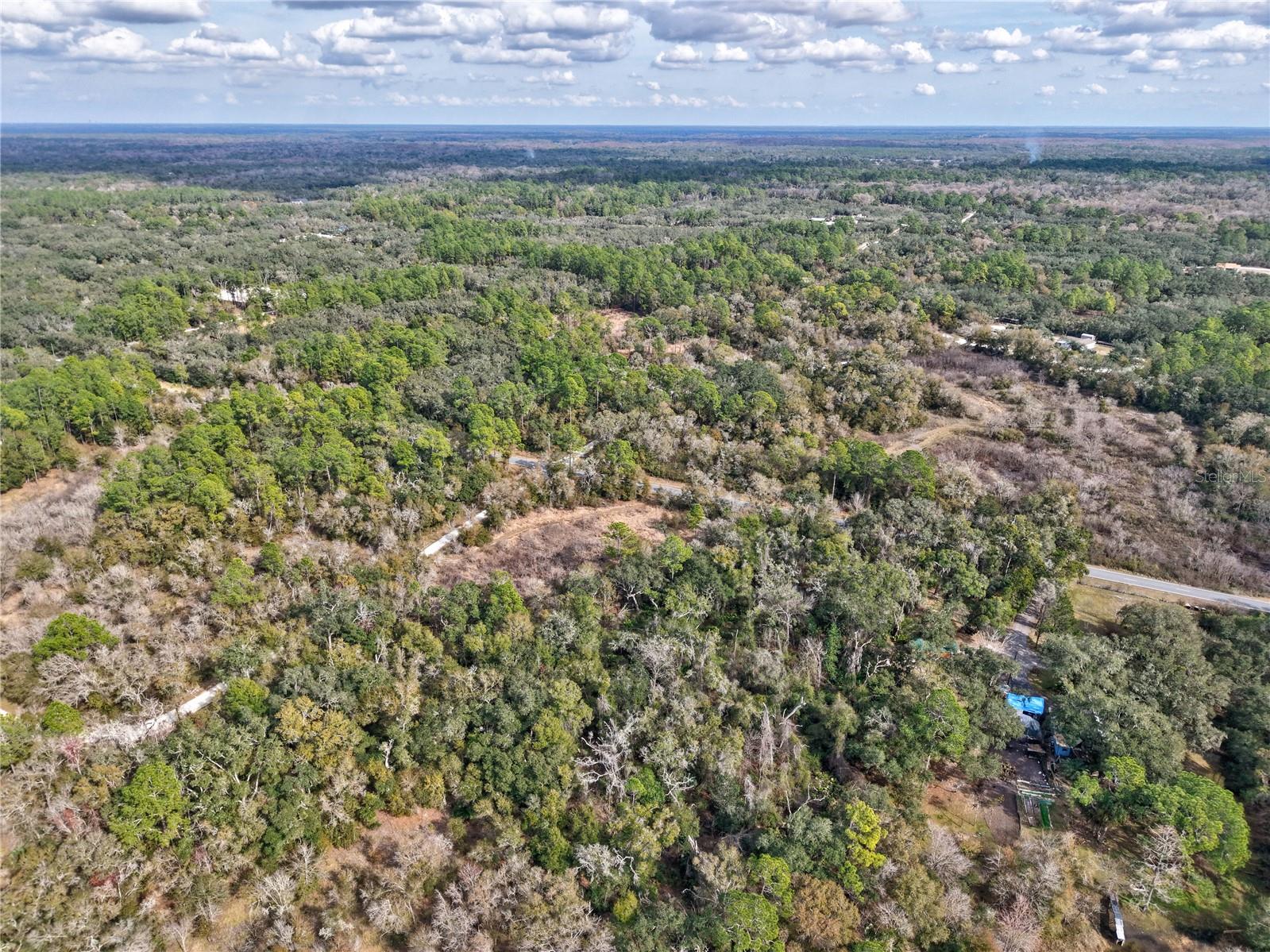 RIDGE MANOR ESTATE - Land